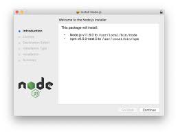 install node js installer vs