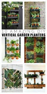 The Best Vertical Gardens To Diy Now