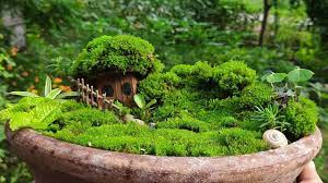 Miniature Moss Garden Free Of Cost