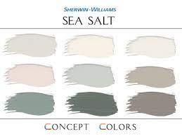 Sherwin Williams Sea Salt Color Palette