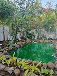 Fish Pond Construction Services At Rs