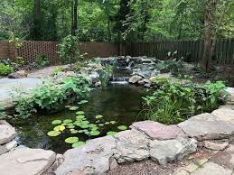 What Is A Koi Pond And What You Need To