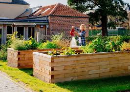 Raised Beds Design Your Shape Size