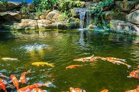 Japanese Garden Waterfalls