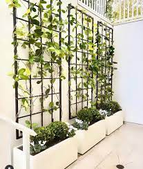 Metal Garden Outdoor Trellis Wall