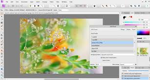 Affinity Photo Printing And Soft Proofing