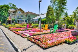 Larchmont Nurseries And Construction