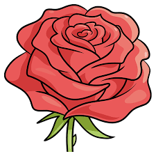 How To Draw A Realistic Rose Flower