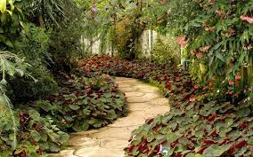 Landscaping Company Archives