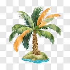 Palm Tree On Island Png