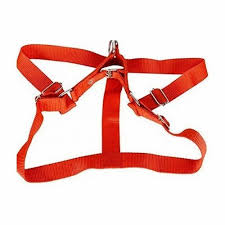 Pet Belt For Dog Belt At Rs 100