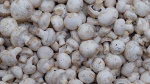 Cremini Champignon Mushrooms A