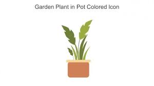 Plant Powerpoint Presentation And