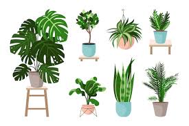 Page 12 3d Plant Icon Images Free