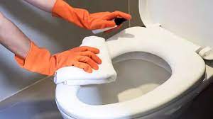 Removing Yellow Toilet Seat Stains