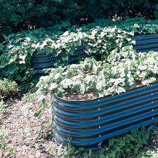 Pros And Cons Of Galvanized Raised Beds