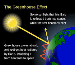 Greenhouse Effect Wikipedia