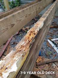 how to stop timber rot trex protect