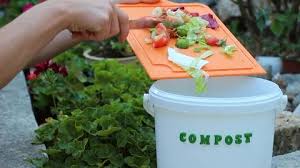 Composting Stock Footage Royalty Free