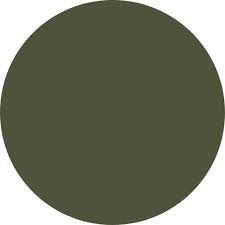 Ral Colour 6003 Olive Green Maple