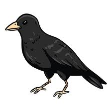 Crow Or Raven Cartoon Icon Wild Bird