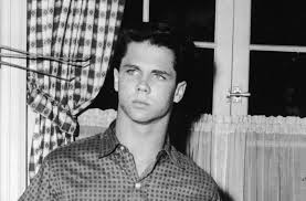 Beaver Actor Tony Dow