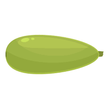 Zucchini Icon Cartoon Vector Vegetable