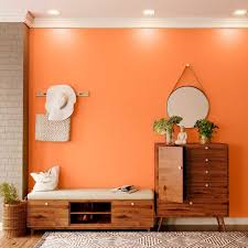 Vivid Orange 7990 House Wall Painting
