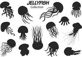 Jellyfish Icon Images Browse 36 217