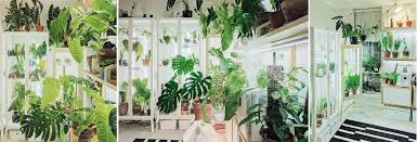 Ikea Greenhouse Cabinet S You