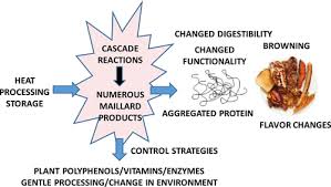 Control Of Maillard Reactions In Foods