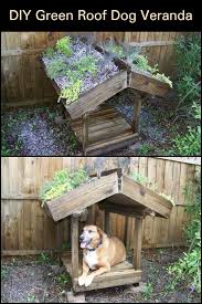 Awesome Diy Green Roof Dog Veranda