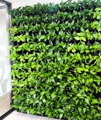 Indoor Office Green Plant Walls For