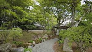 Japanese Zen Garden Green Environment