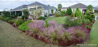 Florida Native Plant Society Fnps