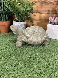 Stone Garden Turtle Tortoise Detailed
