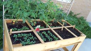 Square Foot Gardening A Simple And