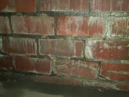 Repairing A Bowed Brick Wall