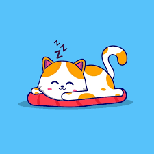 Cat Cartoon Vector Icon Cute Sleeping