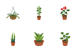 3 854 Pot Plant Icon Packs Logos