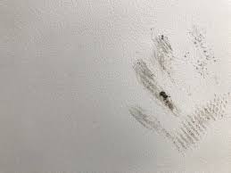 Greasy Fingerprints Off Walls