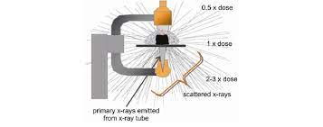 7 primary and secondary radiation