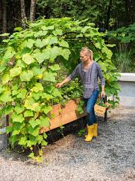 Elevated Planter Box