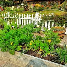 Vegetable Garden