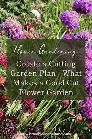 How To Start A Cut Flower Garden 7