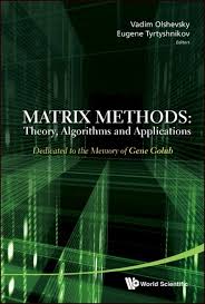 Matrix Methods Theory Algorithms And