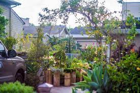 Driveway Oasis In Half Moon Bay