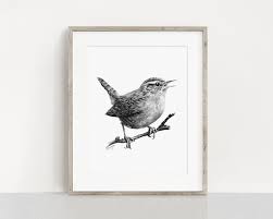 Wren Bird Art Print Wren Pencil Drawing