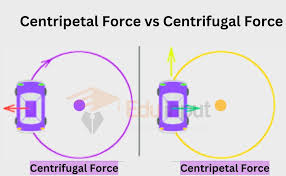 Difference Between Centripetal Force