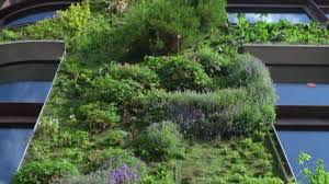 Vertical Garden Living Green Wall